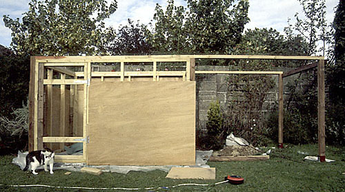 Basic Structure with cat