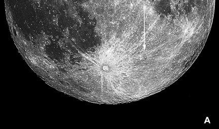 moonandsixpence-A