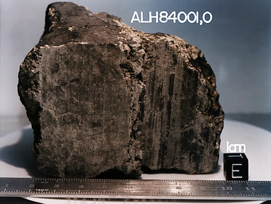 ALH84001 Mars Meteorite