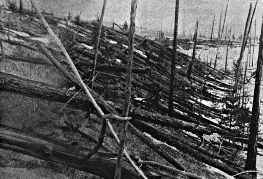 Trees felled by Tunguska Blast