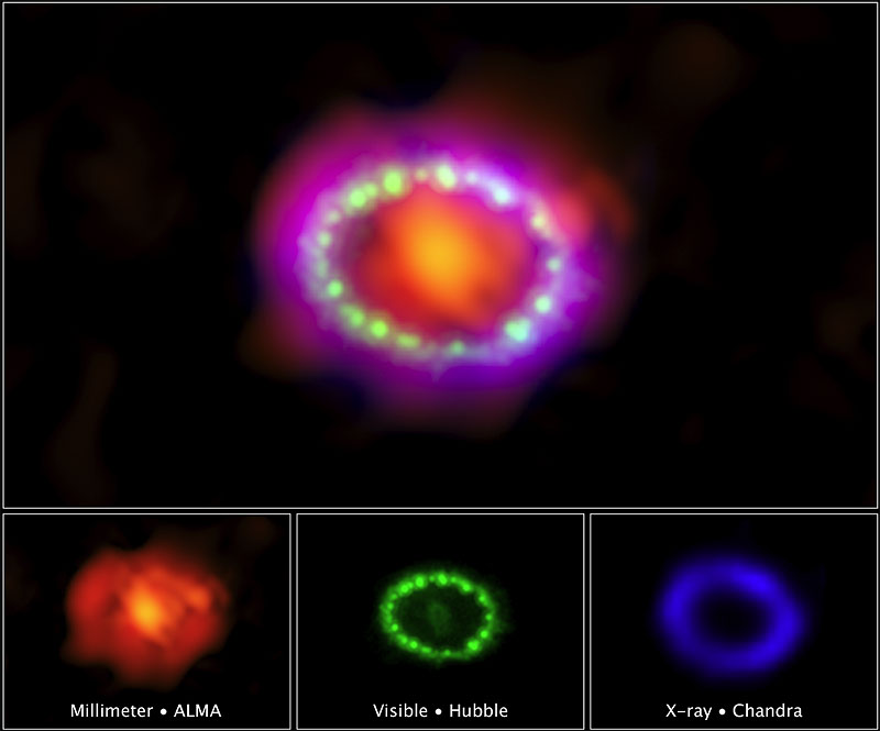 Multiwavelength View of Supernova 1987A